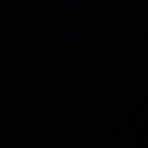 Meet your Posher, Augie